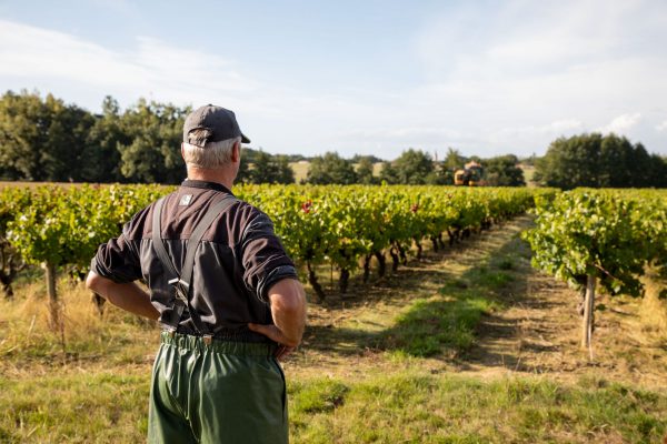 4D1A4163(1) 4D1A4163(1)